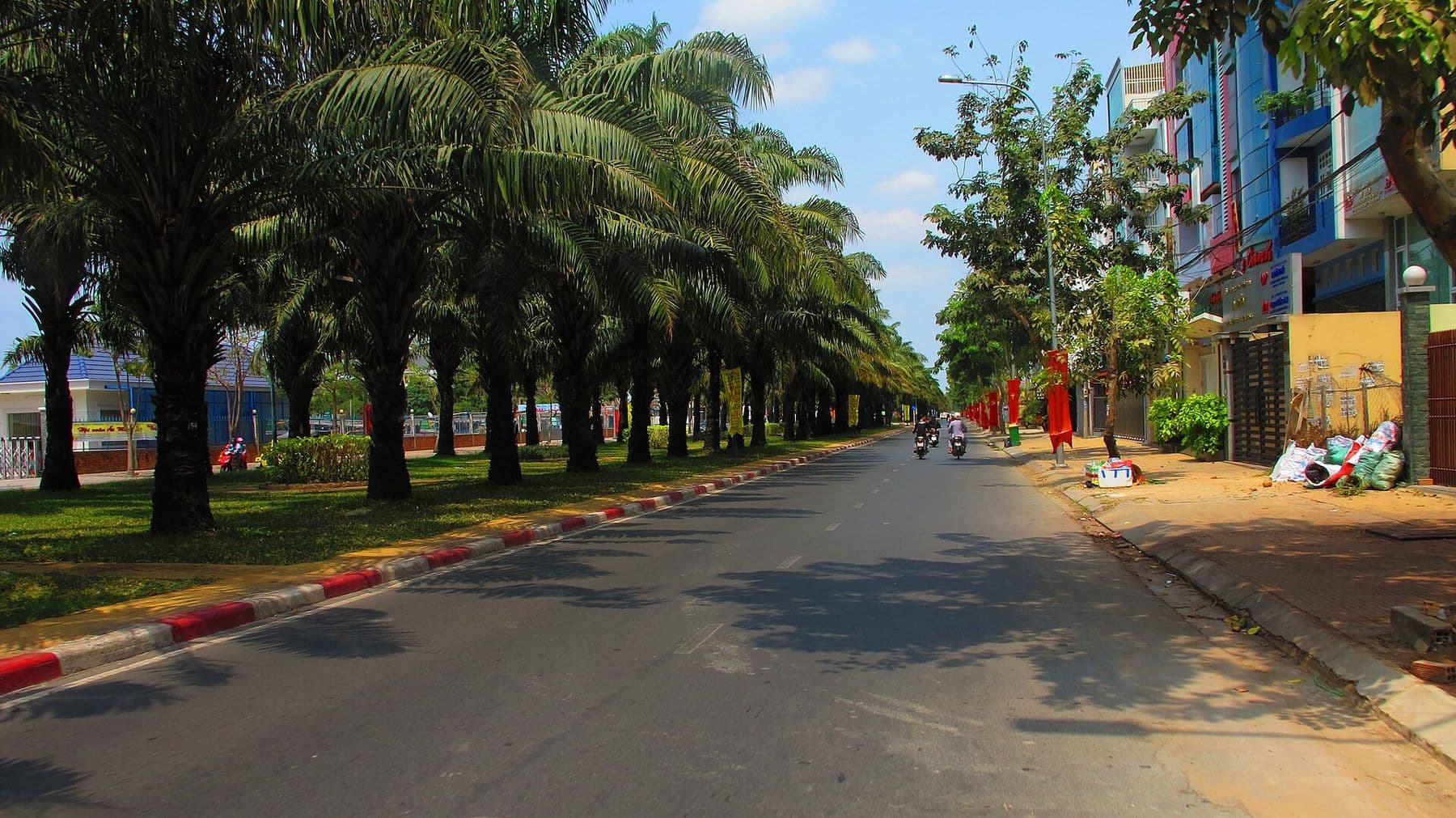 Đường số 9A, khu Trung Sơn, Bình Hưng, TP.HCM