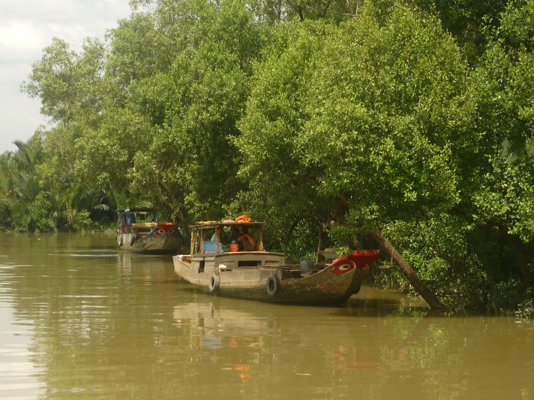 Một khúc sông tại huyện Nhà Bè, TP.HCM