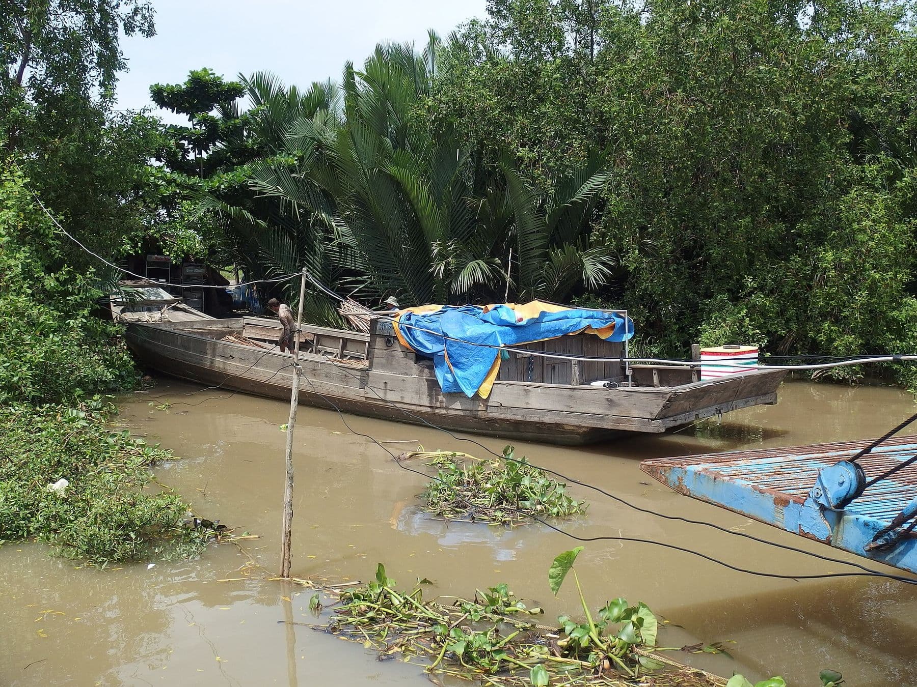 Bờ sông khu Hiệp Phước, Nhà Bè, TP.HCM